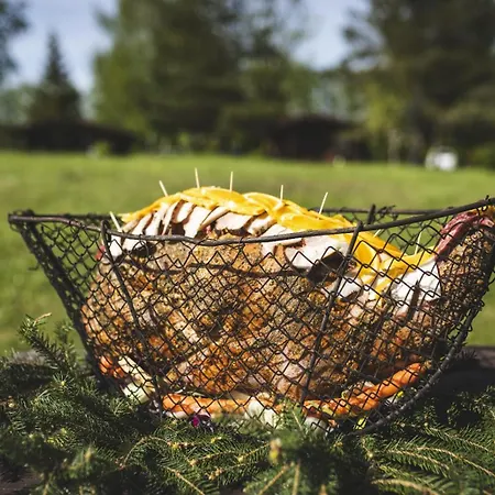 Slonce Mazur Dzwierzuty