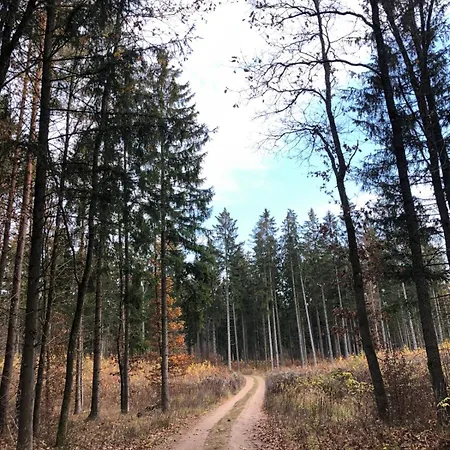 Slonce Mazur * Dzwierzuty