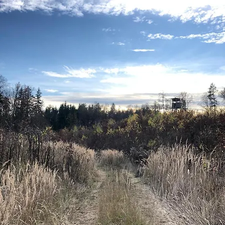 Słońce Mazur Dzwierzuty