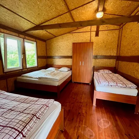 Slonce Mazur Dzwierzuty