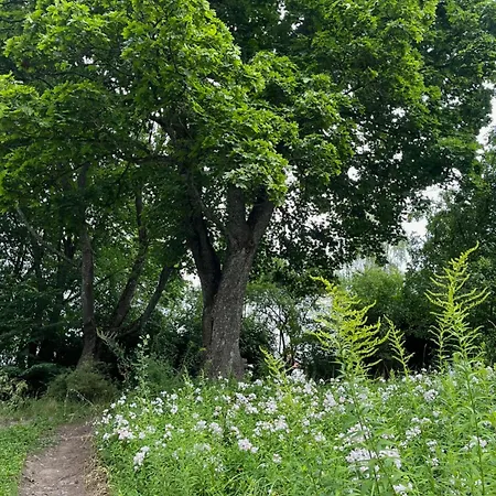 Slonce Mazur Campeggio Dzwierzuty