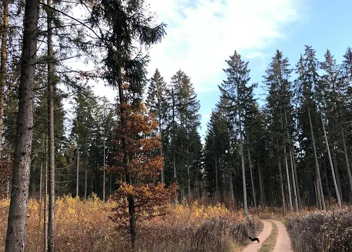 Campsite Slonce Mazur