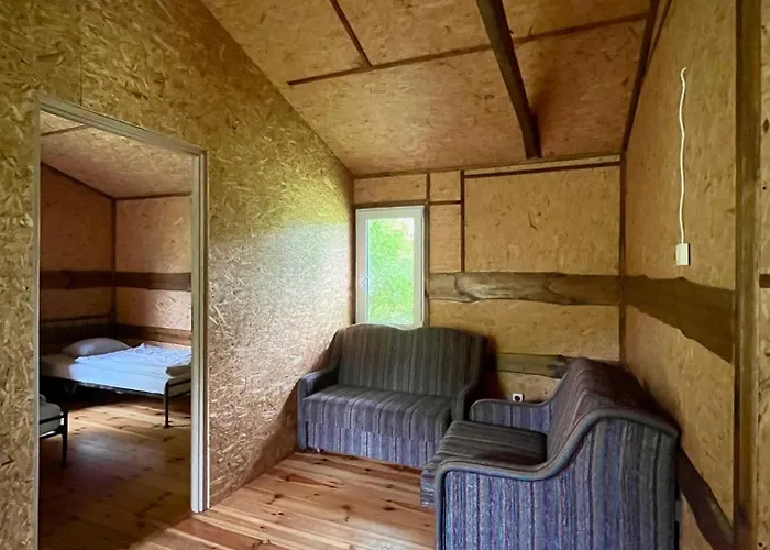 Slonce Mazur * Dzwierzuty