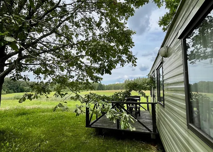 Slonce Mazur Dzwierzuty