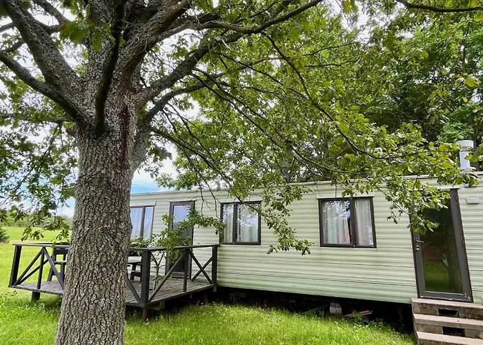 Slonce Mazur Dzwierzuty